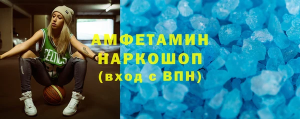 гидра Елабуга