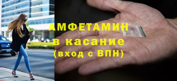 гидра Елабуга