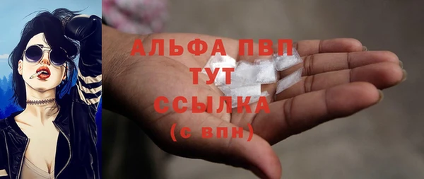 дурь Ельня