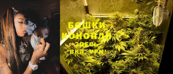 дурь Ельня