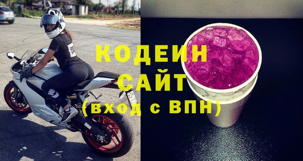дурь Ельня