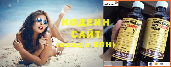 гидра Елабуга