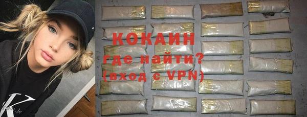 дурь Ельня